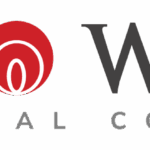 Nava Wilson LLP logo